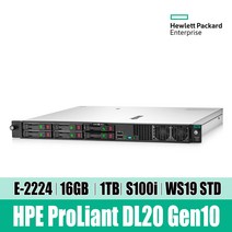 HPE DL20 Gen10 E-2224 16GB 1TB WS19 STD Svr P17078-B21 웹 WEB 파일 DB 백업 ERP 더존용 데이타서버 재고보유