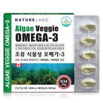 NatureLand 식물성오메가3 임산부오메가 EPA DHA 오메가3 식물성 비타민D 비타민E 눈건강 혈행 혈관 프랑크톤 미세조류 오메가쓰리 청소년 온가족 영양제 추천 효능 효과, 60캡슐, 38.04g