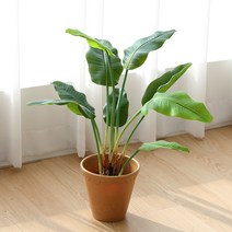 조화 나무 인조 화분 장식 극락조 헬리코니아 80cm, 1개