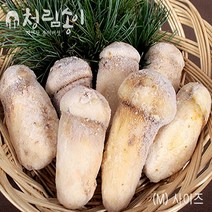 (청림송이 능이) 햇 자연산 냉동송이버섯 (특품), 냉동송이/BS/1kg, 1개