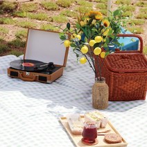 [이거찜] 세련된 디자인의 체크무늬 대형 돗자리/캠핑돗자리/옥스퍼드돗자리/피크닉매트, 돗자리 민트 중형