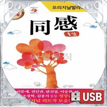 USB 국내앨범 원곡 오리지날 발라드 동감 1집 임재범 이문세 이승철 전인권 임창정 김건모 조장혁 박기영 윤상 인형 정말그러길바랄께 슬픈사랑의노래 너를위