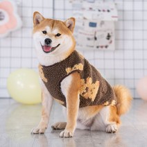 강아지 패션 후리스 곰돌이 가방 사이즈별 가을 겨울 보온 시바견핏 중소형견 애완견 인플루언서 베스트 겨울옷, 브라운곰돌이