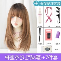 여성 자연스러운 생머리 긴머리 레이어드컷 통가발 데일리 내추럴, F