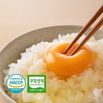 [탐란] 프리미엄 달걀 1등급 특란 HACCP 인증 무항생제 계란 (30구)