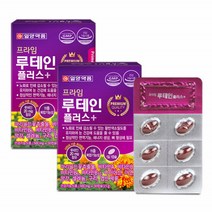 루테인 눈건강 비타민A 뉴테인 류태인 로테인 누테인 루테인플러스 눈비타민 황반색소 눈영양제 30캡슐2통