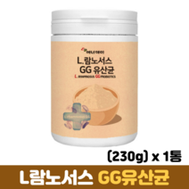 LGG 유산균 분말 L람노서스GG유산균 프락토올리고당 장건강 프로바이오틱스 프리바이오틱스, 1통, 230g