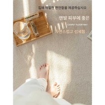 카페트 모던 거실면 침실 러그 극세사 라운지 거실 4계절용 로비