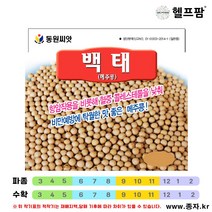 헬프팜 백태 600g 메주콩 종자 콩 씨앗 동원농산종묘