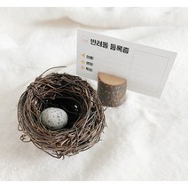 쓸데없는 선물 돌 키우기 미니 애완돌 반려돌 맹구돌 펫스톤 애완용돌 돌멩이, 아기 반려돌 미니어처 세트
