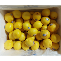 최상급 신선한 레몬 팬시 레몬 lemon 레몬대과 미국레몬 칠레레몬 개당120g내외 미국산 칠레산, 60개
