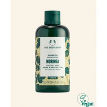 더바디샵 모링가 샴푸 250ML SHAMPOO MORINGA, 1