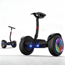 2륜 전동 스쿠터 전기 수단 오토바이 이동 전동스쿠터 삼발이, 다크퍼플, 54v