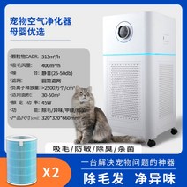 고양이 공기청정기 털 비염 미세먼지 원룸 펫케어, 애완동물 모발 청정기 x 2개의 필터 요소