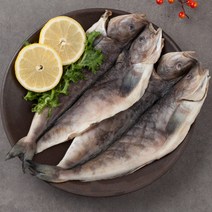 동해안 손질 임연수 6미 외 구이 찜