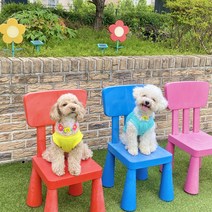 하이몽 쿨광 나시 강아지 야광 쿨티, YELLOW