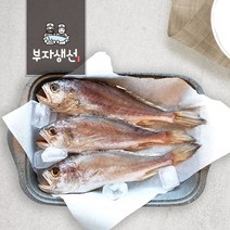 반건조 침조기 반찬용 5마리 30~34cm (망미중앙시장 부자생선), 침조기30~32cm  5마리