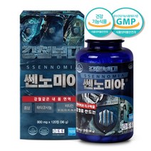 피로 개선 활력 좋은 영양제 홍삼 옥타코사놀 나이아신 엽산 비타민 B1 B2 B6 B12 120정 2개월분 면역력증진 기억력개선 지구력증진 항산화, 1개