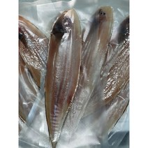서해안 반건조 박대 (특대 34~36cm (진공포장)), 반건조박대 특대 10마리