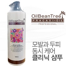 알씨투 오일빈트리 프라칵시 샴푸 1000ml, 1개