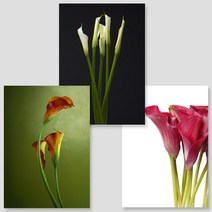 [아트톡] S102. 카라1 - 인테리어 폼보드 3종 세트액자