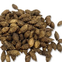 보담다소니 창이자 도꼬마리 말린 국내산 수입산 500g, 1봉, 수입산 창이자 500g