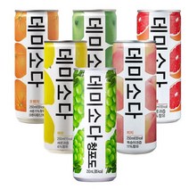 동아 데미소다 사과 복숭아 자몽 레몬 청포도 오렌지 250ml x 30can, 데미소다 사과 250ml x 30캔ND