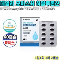 히알루론산 데일리 모이스처 60캡슐 6박스 6개월분