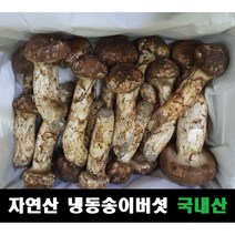 송이버섯 자연산 냉동 국내산, 2등급(15~25송이,크기랜덤) 1kg
