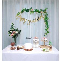 강아지 고양이 생일파티용품 생일상 대여 홈파티 세트 4종, 내추럴파티