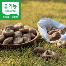 알뜰하게 선택하는 생표고버섯국산표고버섯 추천