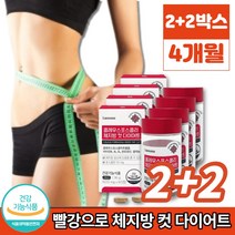 콜레우스 포스콜리 포스콜린 추출물 정 알약 먹으면서 다이어트 체지방 컷 레몬밤 와일드망고 히알루론산 히비스커스 사과 식이섬유, 2+2박스, 2개