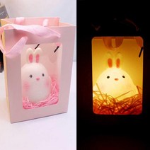 핫한 LED 에나멜론 무드등 토끼 애니메이션 팬시 야시장 노점 화물 공급원 발광함 장난감, 숏 토끼 _정미 선물 꾸러미