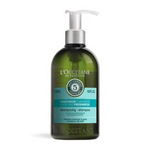 [블리스하이] 록시땅 퓨리파잉 프레쉬니스 샴푸 500ml 머릿결 개선 두피 케어 실리콘프리 파라벤프리