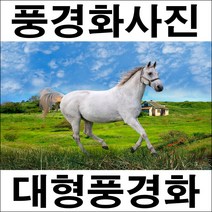 B288/인테리어소품/말사진/풍경화/벽장식/말그림