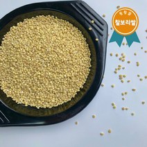 봉황뜰 찰보리쌀 2023년산, 1개, 10KG