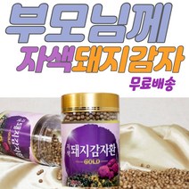 돼지감자 환 쉽게 먹는 간편한 돼지감자효능 자색 돼지감자 환 시부모님 시어머니 남녀노소 방부제 없는 돼지감자 환 할머니 할아버지 누구나 돼지 감자
