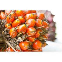 레드팜오일[비정제] 1L