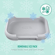도시락 미국 키즈런치백 Bentgo® Kids Chill 4개의 칸-628850, 푸치아/청록색