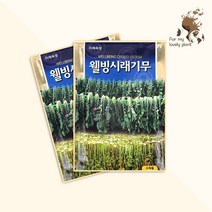 웰빙시래기무 30g 미래종묘 잎채소류 씨앗, 1개