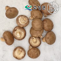[공룡나라]고성 웅이표고농장 생표고버섯(생표고파지1kg), 단품
