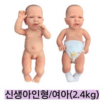 독일산/신생아모형 여아 BA78-1/약2.4kg 신장 약50cm 신생아모형 아기모형