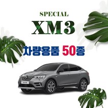 [차랑] XM3 자동차 용품 악세사리 튜닝 차량용품 모음, 10_XM3 ABS 4버튼 키케이스 : 카본