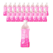 벨리불리 화산용암수 제주 미네랄 500수 음료, 500ml, 120개