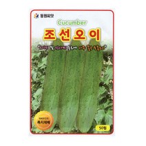 조선 오이씨앗 50립, 1개