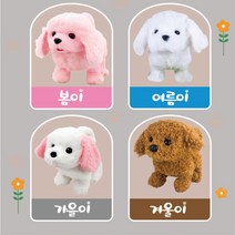 반려동물 강아지 돌보기 완구 랜덤 선물 사회성 놀이 소꿉 5살여아 키즈카페 소꿉놀이