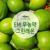 [낭만부자] 제주 EM농장 무농약 그린 레몬, 3kg
