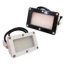 대도 LED 미니 투광등 IP68 방수 10W 투광기 방수등 방수등 외부간판 공사현장 캠핑장 실내스튜디오 작업현, 블랙(주광색)
