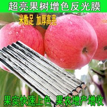 과수원반사필름 과수용 반사필름 사과반사필름 농사용 비닐하우스 포도 사과 광막, 너비 1.2m 길이 100m  (구멍 없음)개