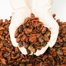 오늘의바다 국산 햇 건홍합 말린홍합, 300g, 1개